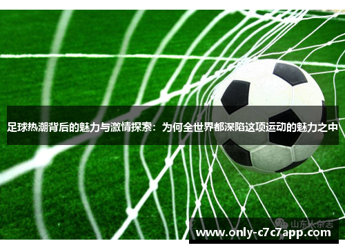 足球热潮背后的魅力与激情探索：为何全世界都深陷这项运动的魅力之中