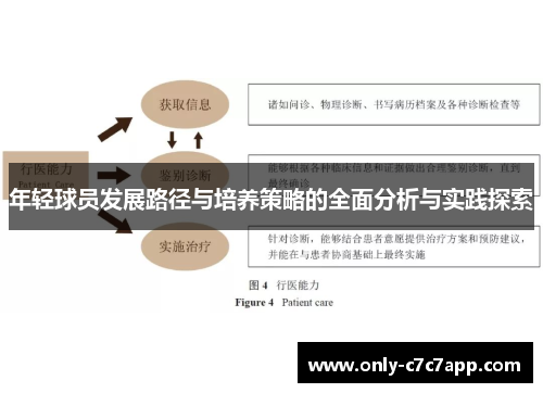 年轻球员发展路径与培养策略的全面分析与实践探索 年轻球员发展路径与培养策略的全面分析与实践探索